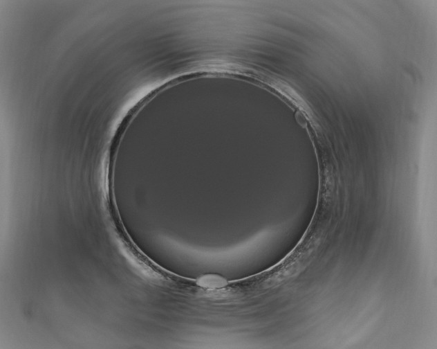 X0000111021128200906261535