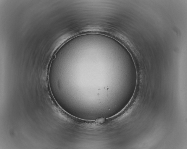 X0000111021129200906261535