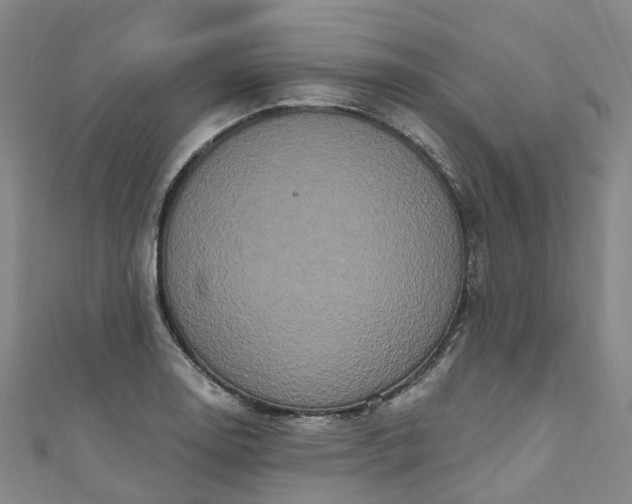 X0000111021130200906261535