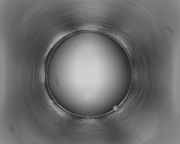 X0000111021131200906261535