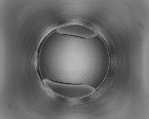 X0000111021132200906261535