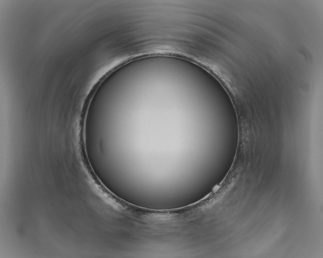 X0000111021134200906261535