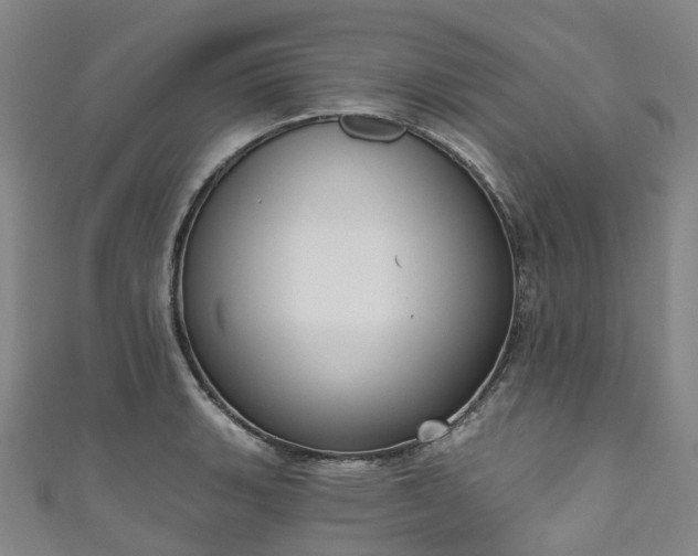 X0000111021135200906261535
