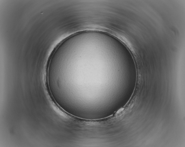 X0000111021136200906261535
