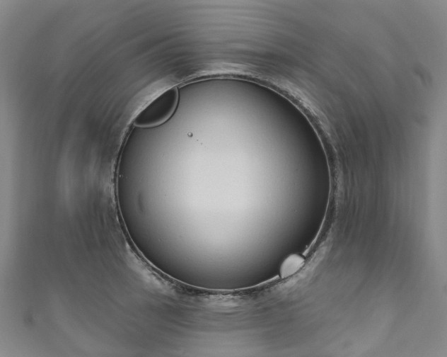 X0000111021137200906261535