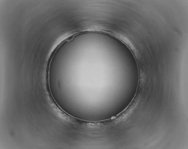 X0000111021138200906261535