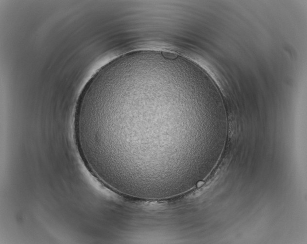 X0000111021139200906261535