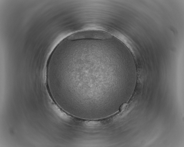 X0000111021140200906261535