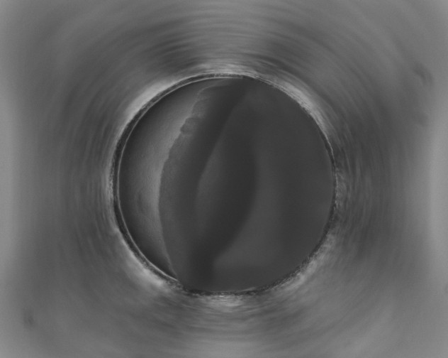 X0000111021141200906261535