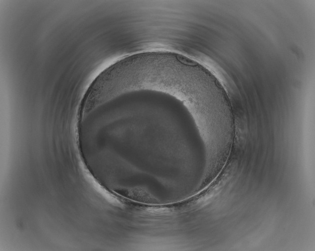 X0000111021142200906261535