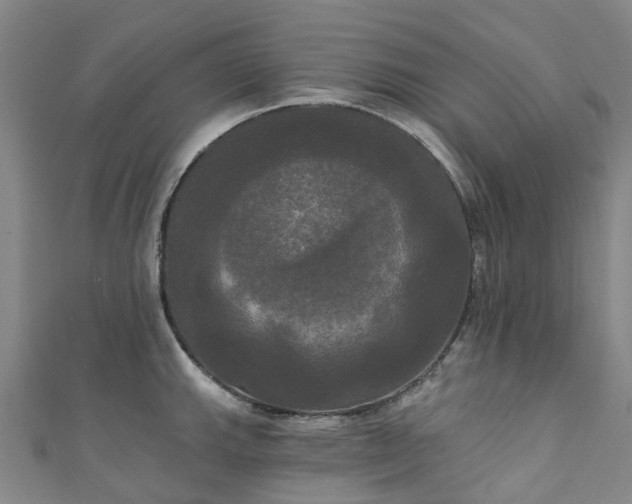 X0000111021143200906261535