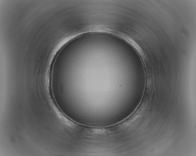 X0000111021144200906261535