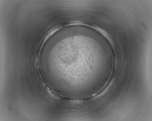 X0000111021145200906261535