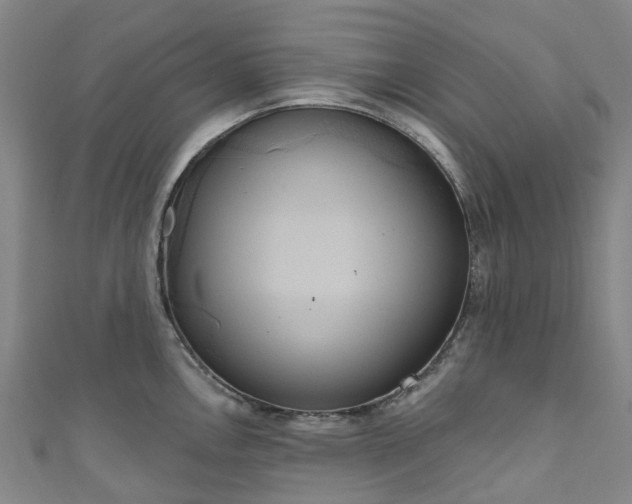 X0000111021146200906261535