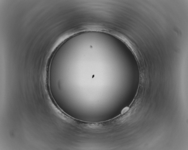 X0000111021147200906261535