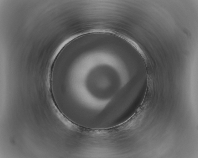 X0000111021148200906261535