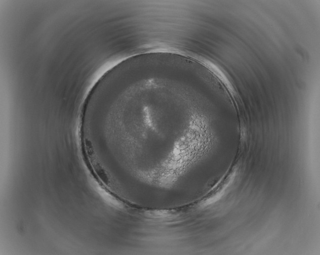 X0000111021149200906261535
