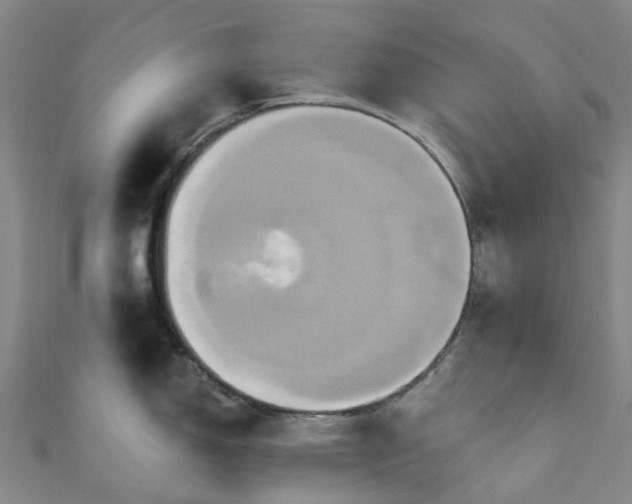 X0000111021150200906261535
