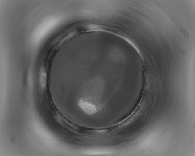 X0000111021151200906261535