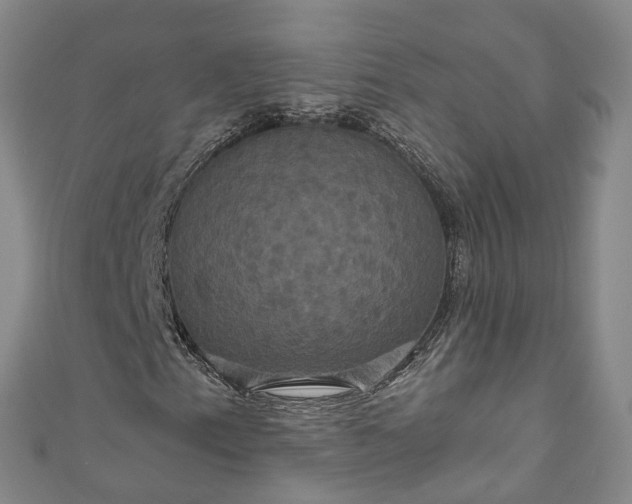 X0000111021153200906261534