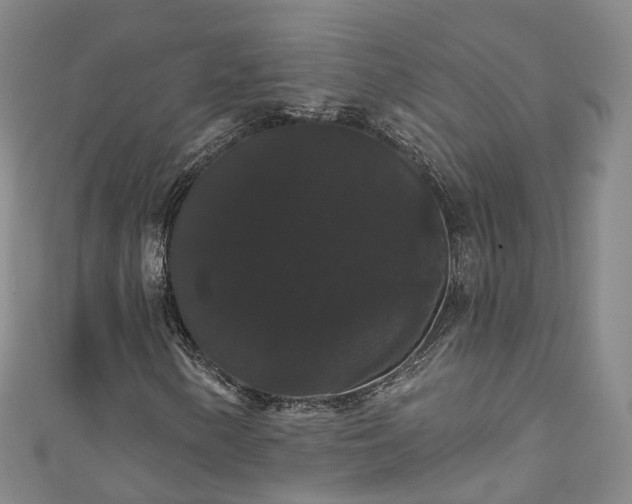X0000111021154200906261534