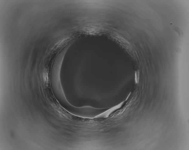 X0000111021155200906261534