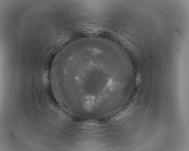 X0000111021156200906261534