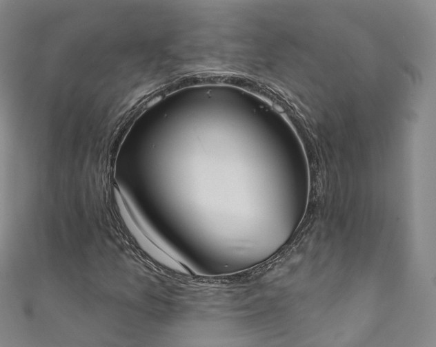 X0000111021157200906261534