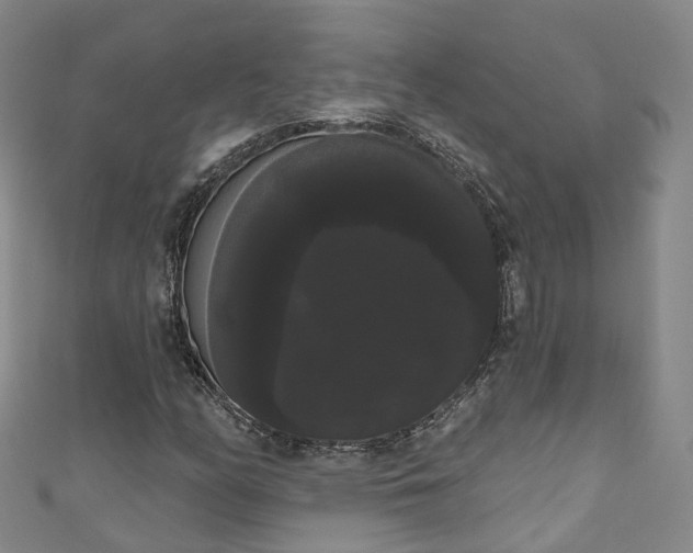X0000111021158200906261534