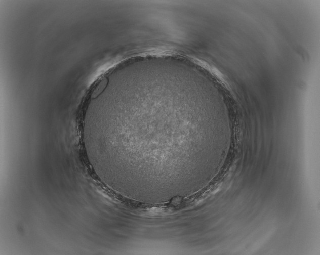 X0000111021160200906261534