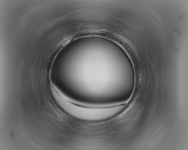 X0000111021161200906261534