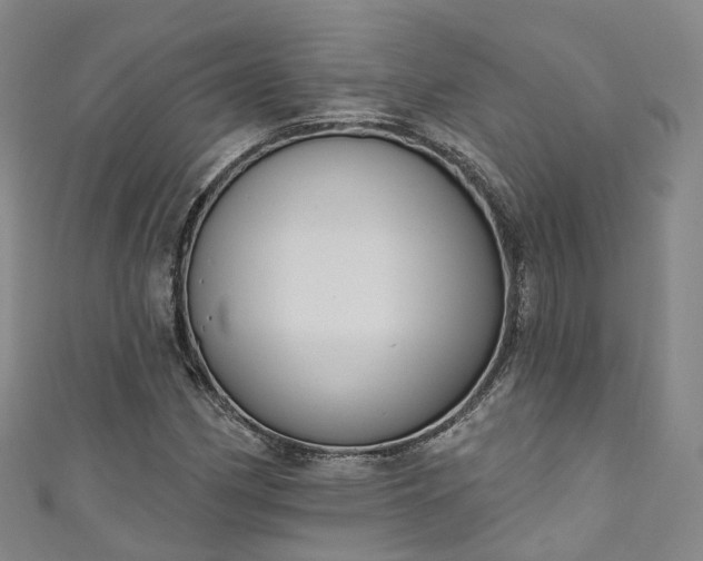 X0000111021162200906261534