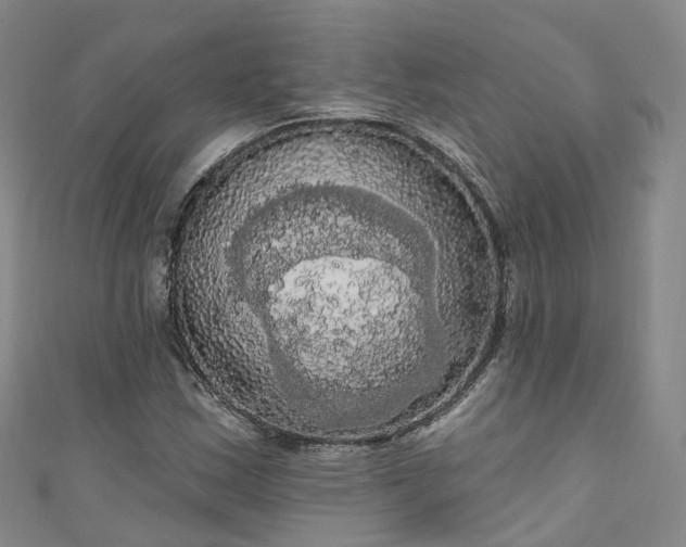 X0000111021163200906261534