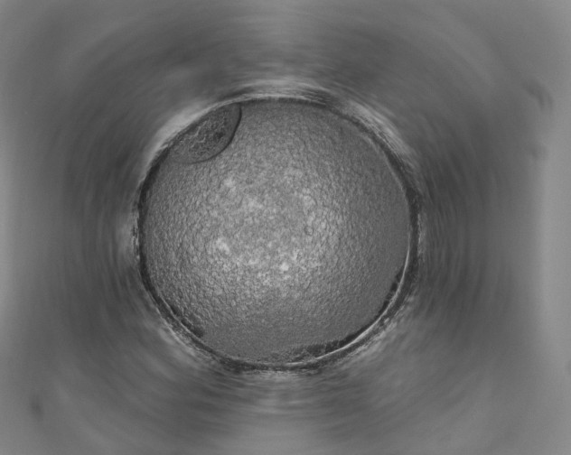 X0000111021164200906261534