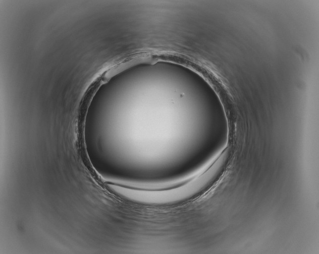 X0000111021165200906261534