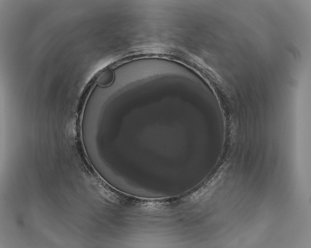 X0000111021166200906261534