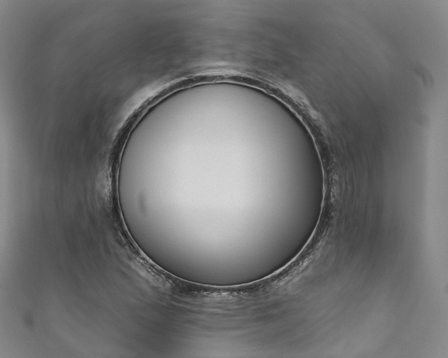 X0000111021167200906261534