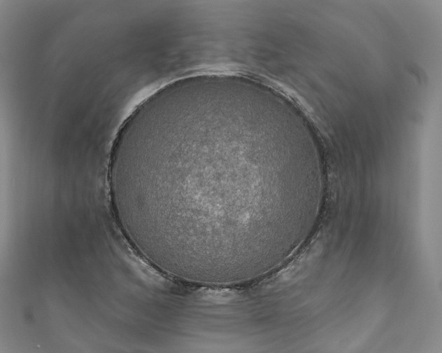 X0000111021168200906261534
