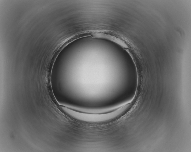 X0000111021169200906261534