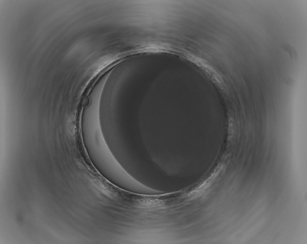 X0000111021170200906261534