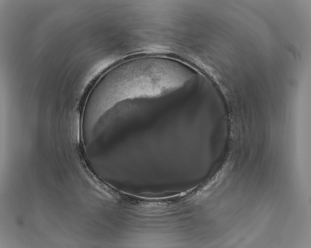 X0000111021171200906261534