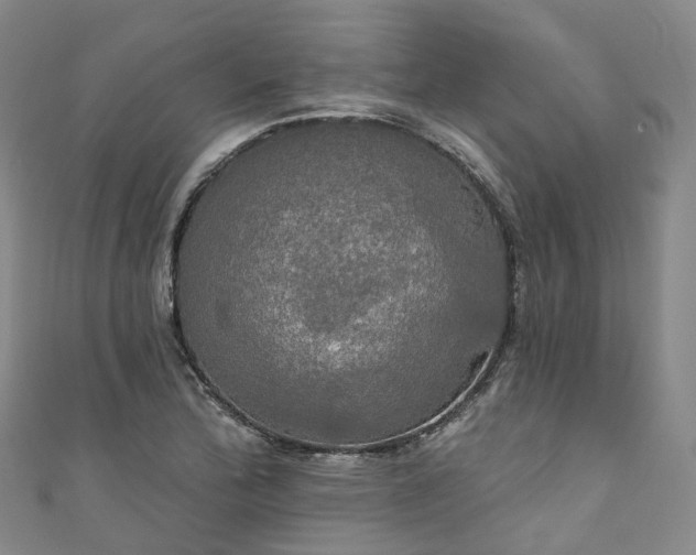 X0000111021172200906261534