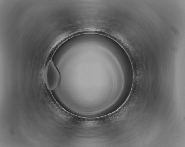X0000111021173200906261534