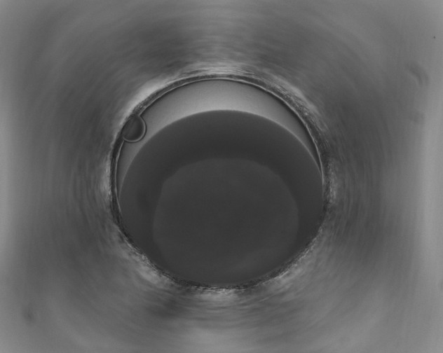 X0000111021174200906261534