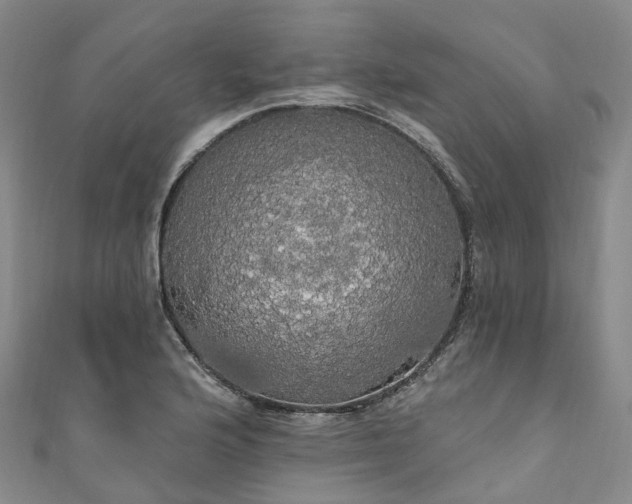 X0000111021176200906261534