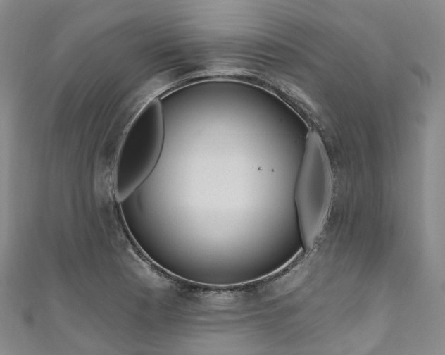 X0000111021177200906261534
