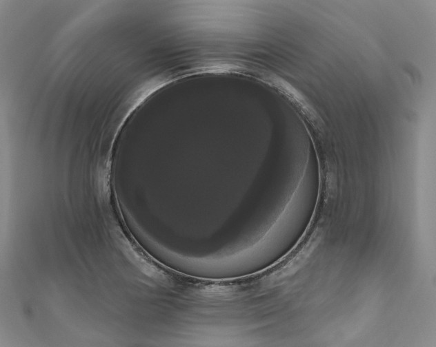 X0000111021178200906261534