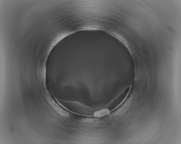 X0000111021179200906261534