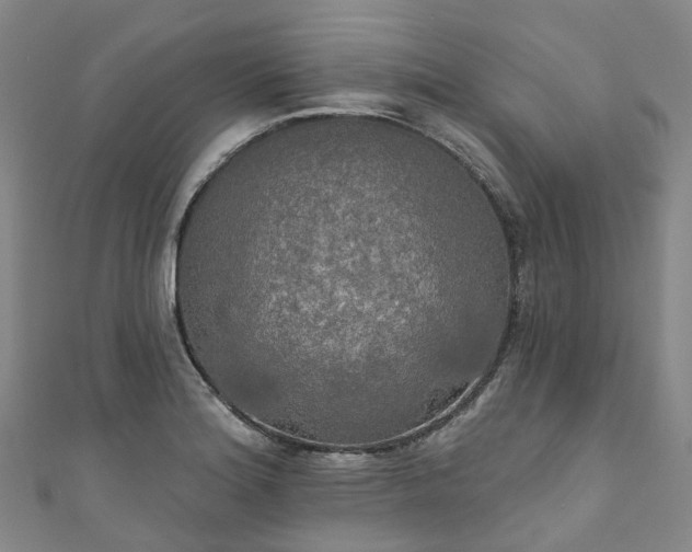 X0000111021180200906261534
