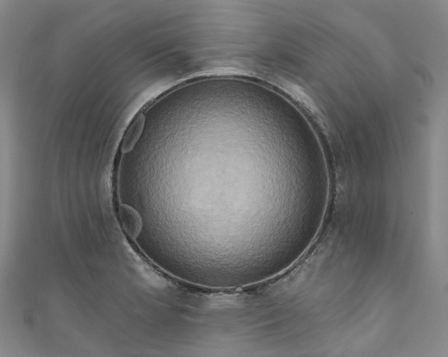 X0000111021181200906261534